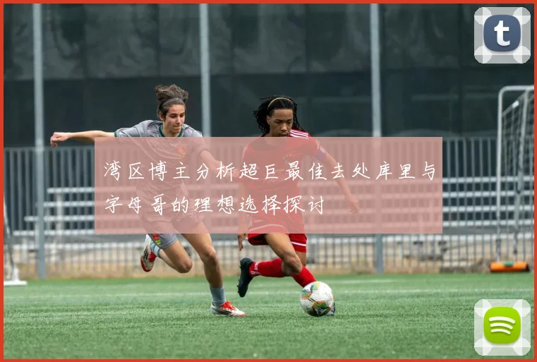 湾区博主分析超巨最佳去处库里与字母哥的理想选择探讨